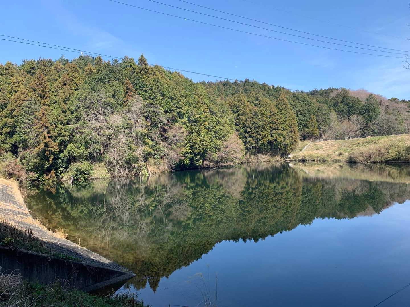 何処にでもあるため池だが素晴らしい景色だった…