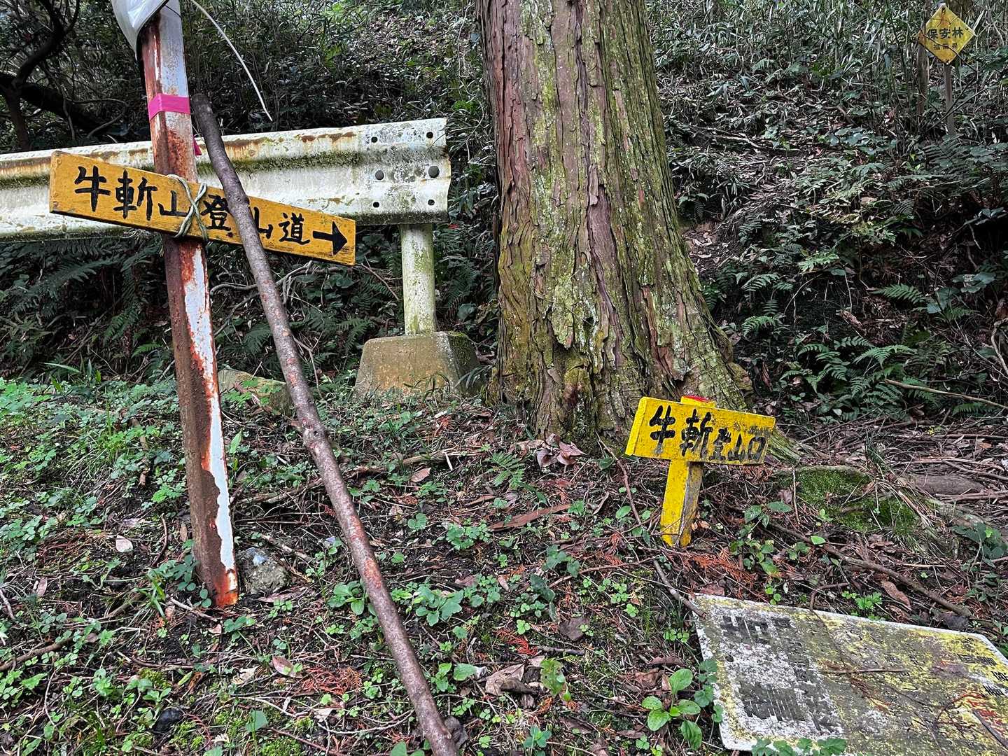 五徳越峠-牛斬峠-牛斬山 往復コースの写真