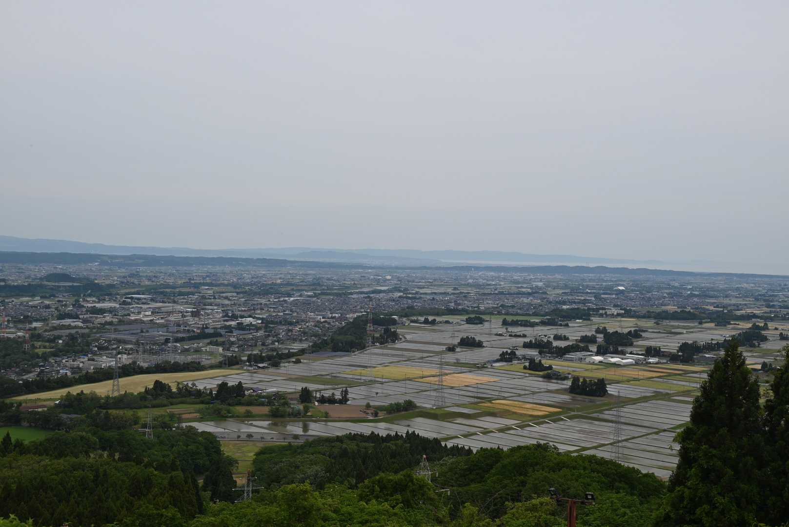 📸猿倉山から見た富山市大沢野町。
水田が光っています。