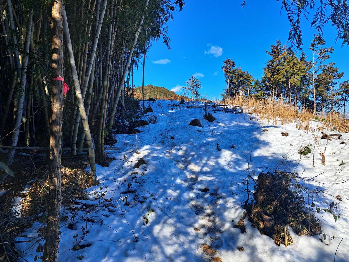 ちょっぴり雪道
