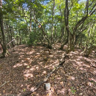 内貴山山頂域　標識、三角点あり
展望なくも涼風あるが、虫もいる😆