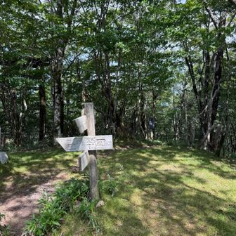 丸石登山口(かずら橋)への分岐
丸石登山口も通行料取ってるらしい