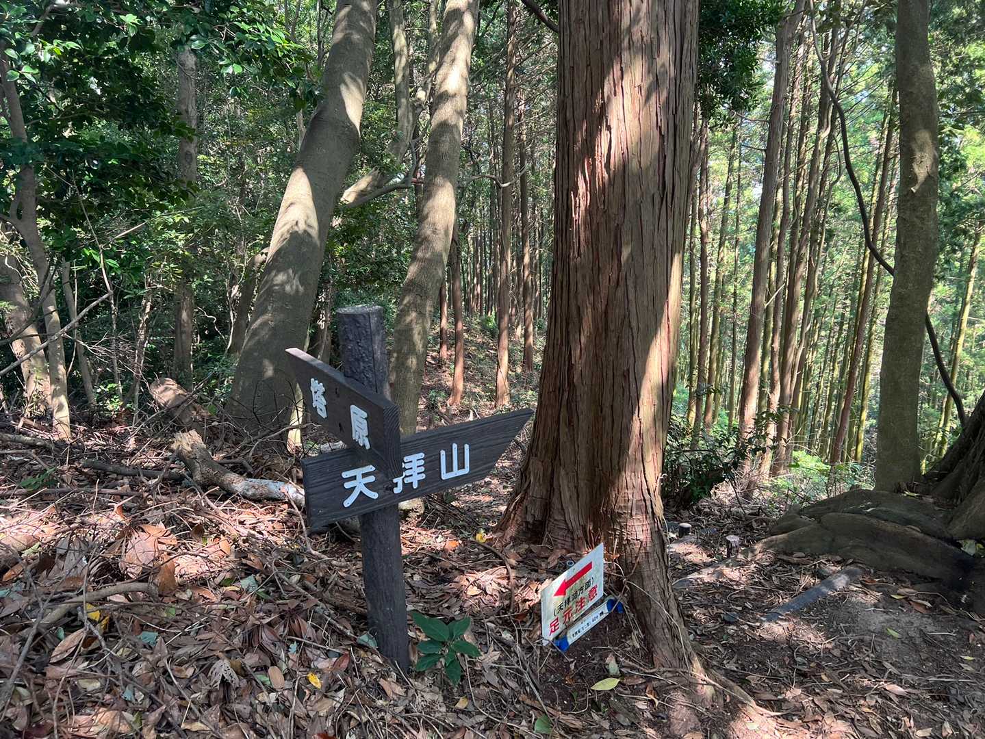 天拝山 | 天神さまが祈りを捧げた山頂へ。下山後は名湯・二日市温泉への写真