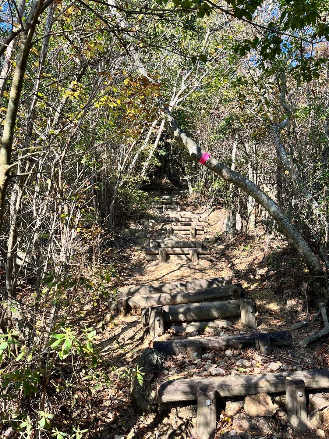 矢筈山・女体山登山口-女体山 (長尾）-矢筈山登山口-矢筈 往復コースの写真