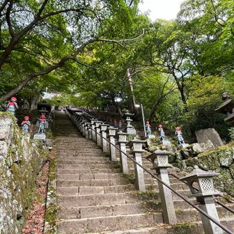 また、ここの秋の紅葉を見に来たい