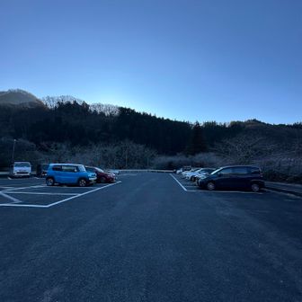 駐車場🅿️
朝8時過ぎ。