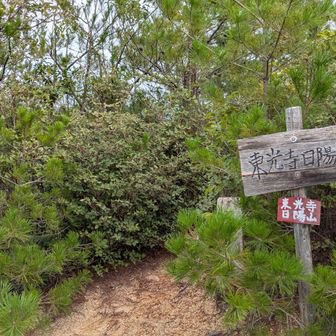 東光寺日陽山