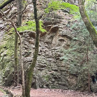 東坂登山口の近く　ここでクライミングの練習をしていた人を見たことがあります