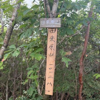 田来原山