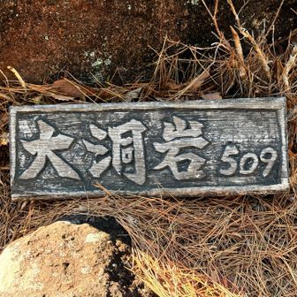 大洞岩登頂509m