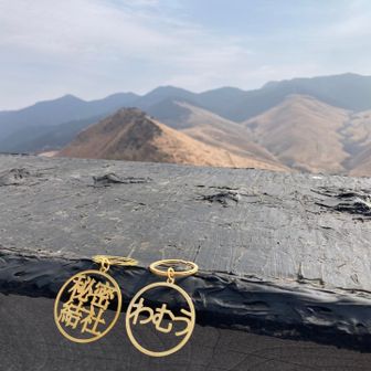 時間掛かりましたが、ついに！