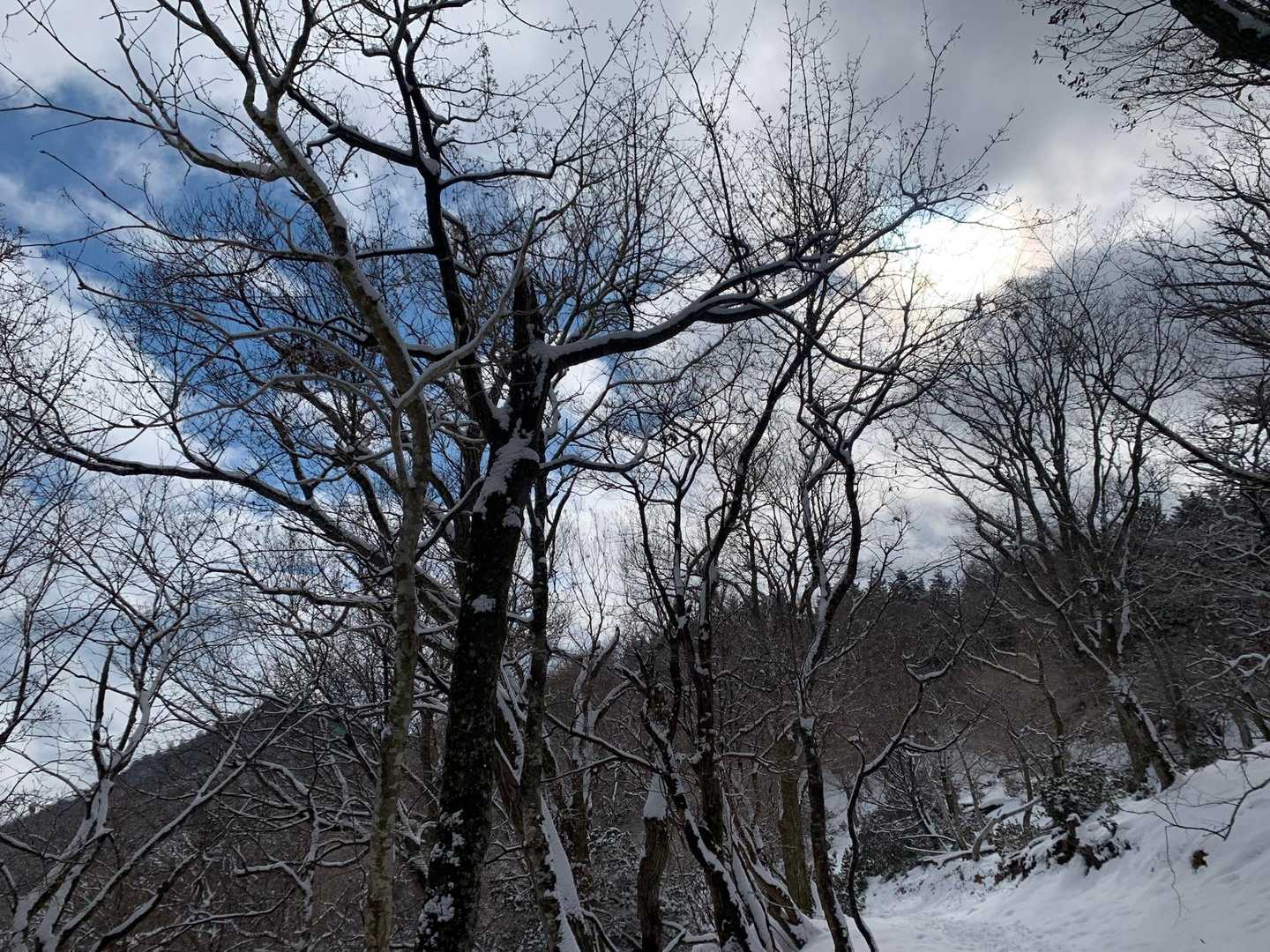 チラリと青空🟦
