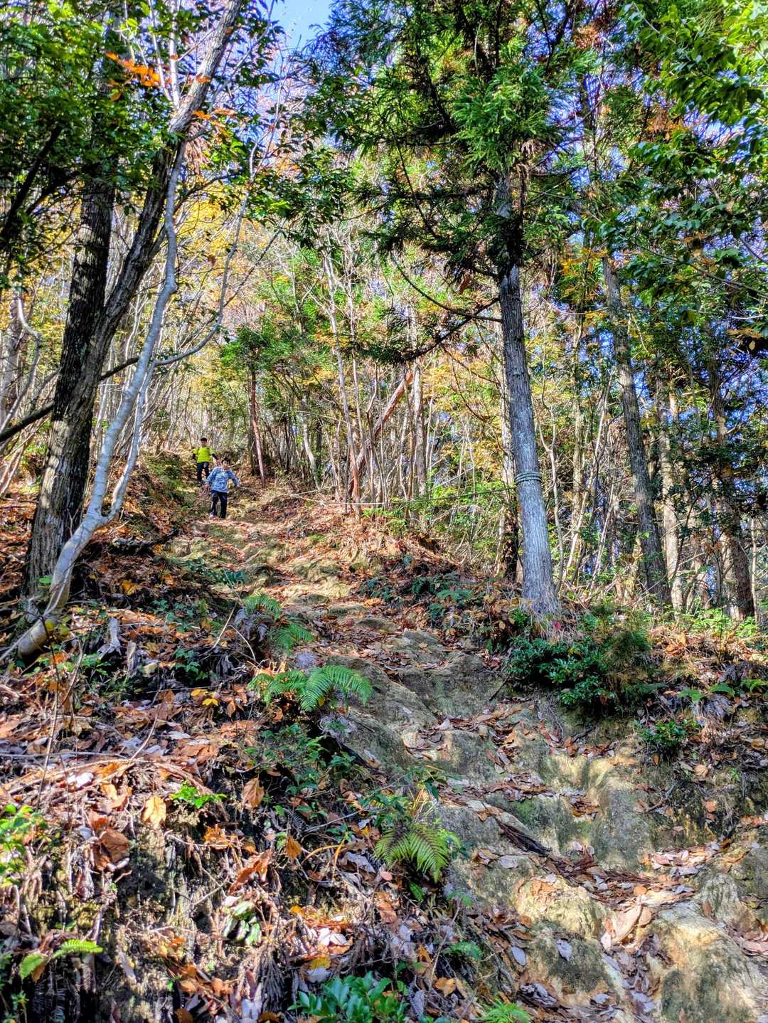 鬼ヶ岳登山口-鬼ヶ岳 往復コースの写真