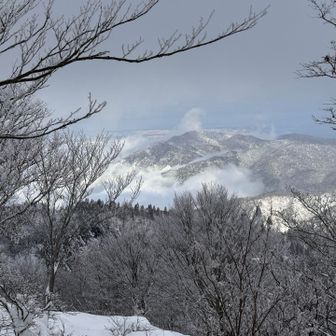 コヤマノ岳辺りから