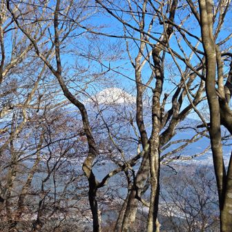 新緑シーズンになったら富士は見えませんね