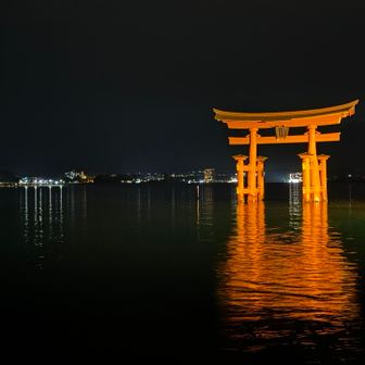 途中、夜の鳥居も見る