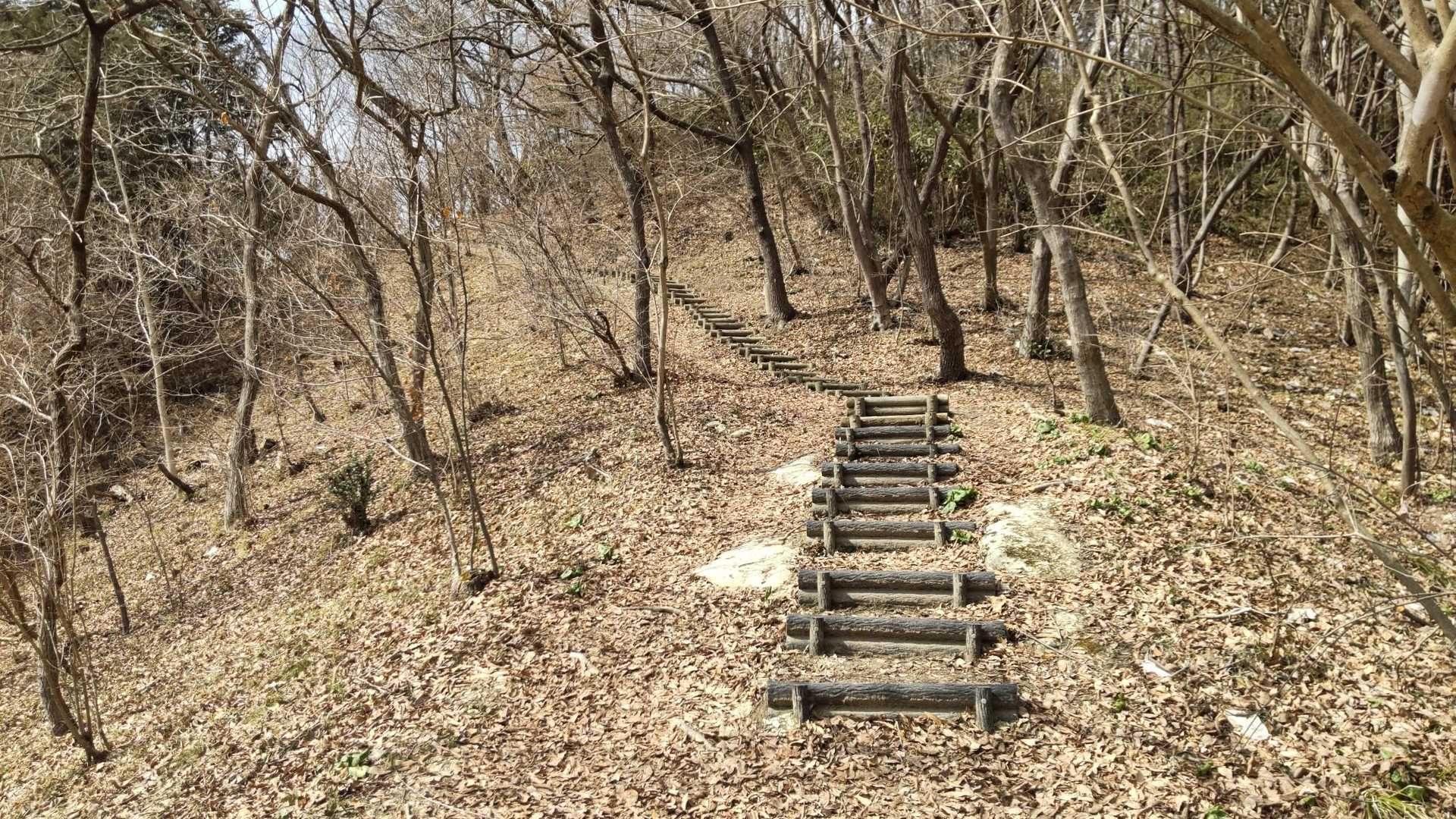 歩きやすい道🚶
