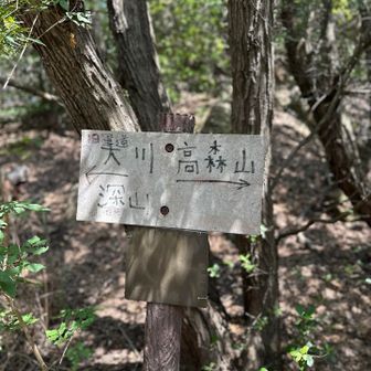 もうすぐ🌱