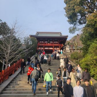 やっぱりいいね。