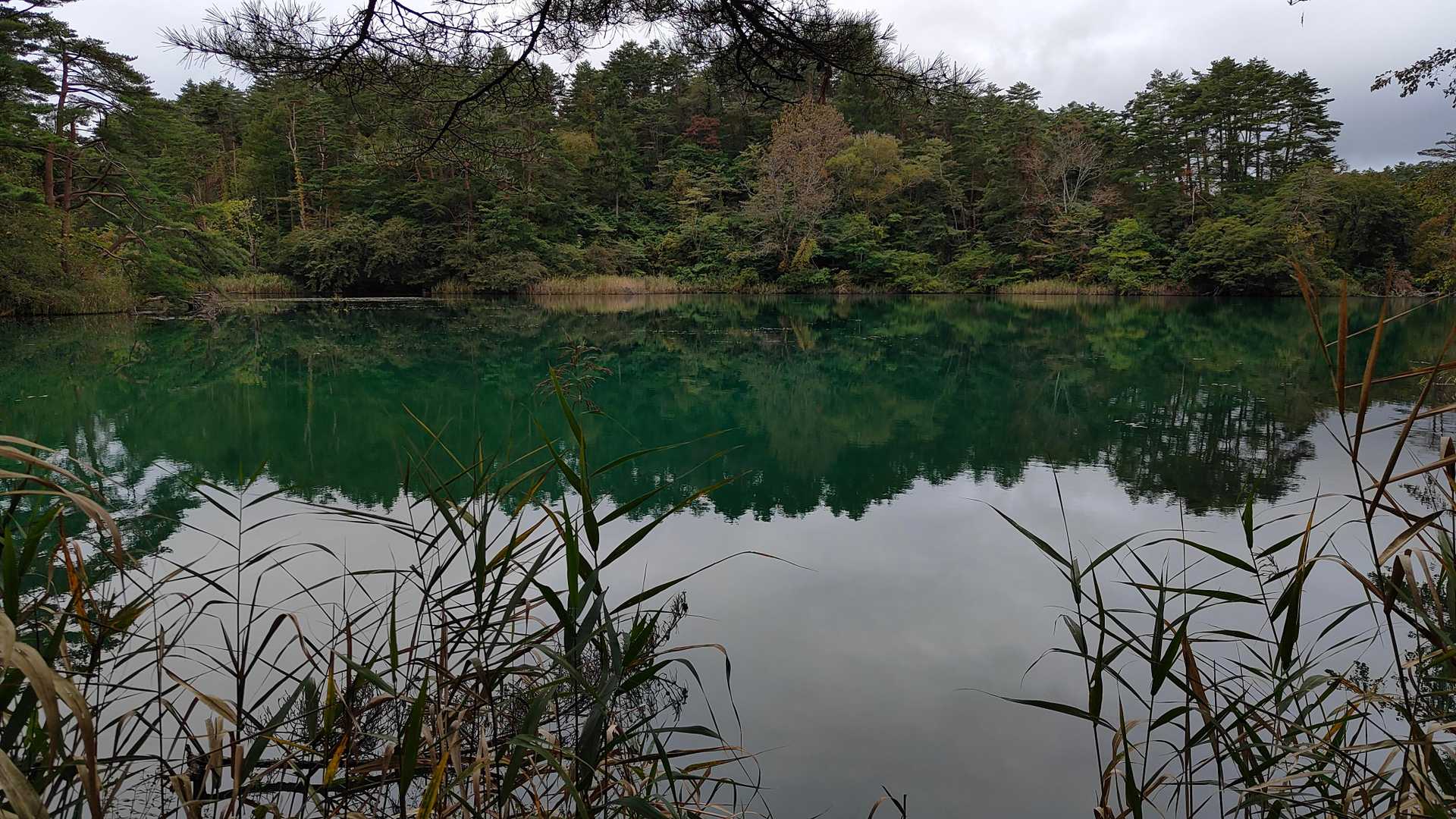 手こぎボートも浮かんでいた