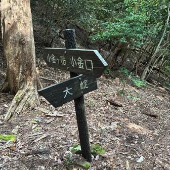 分岐。鍔市ダムへ降りていかれる方がいた。