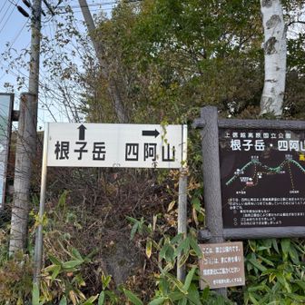 いざ！