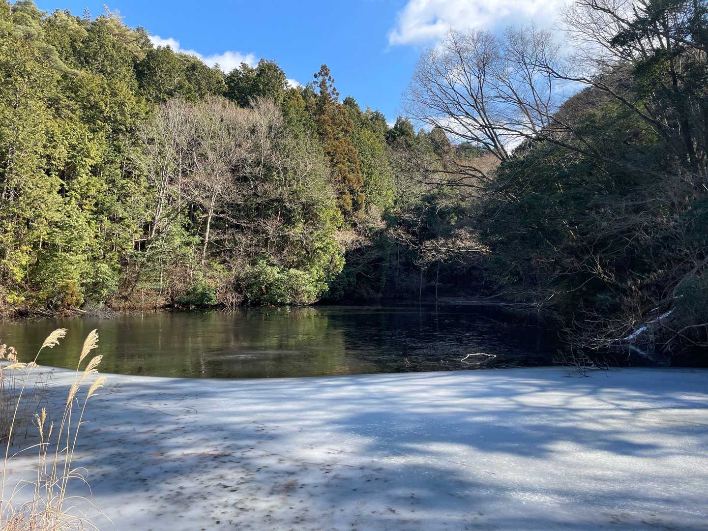 小畑の池
今日も氷張ってた✨✨