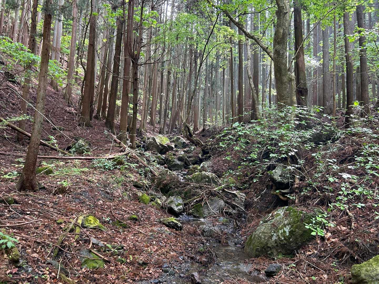 沢の音に癒される。