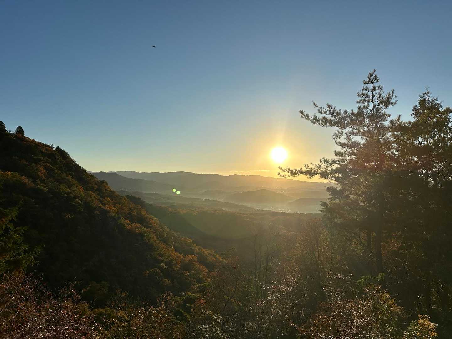 朝日☀️が昇って来ましたよ。😙