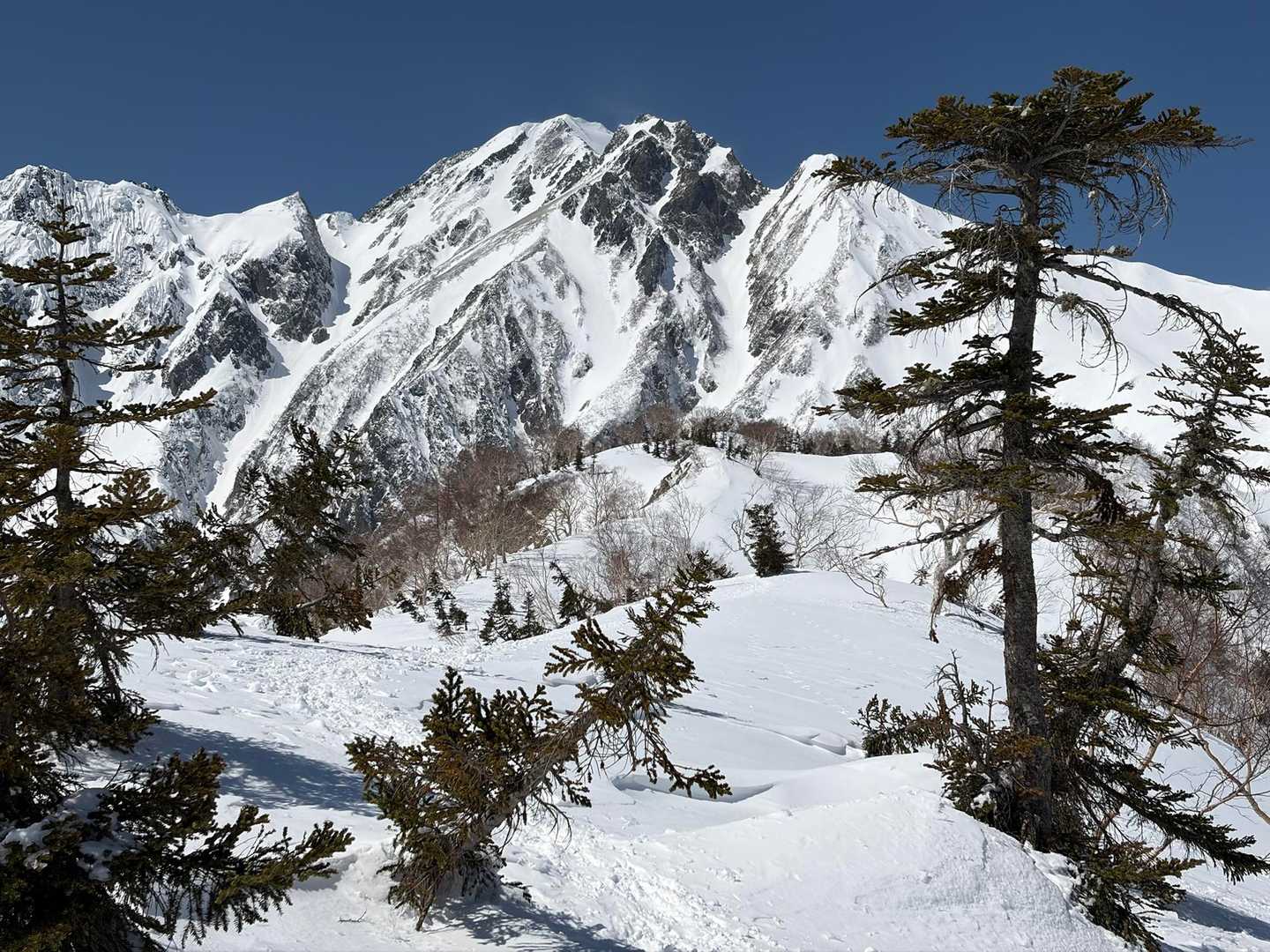 地蔵の頭-二ノ背髪-小遠見山-五竜登山口-中遠見山-大遠見 縦走コースの写真