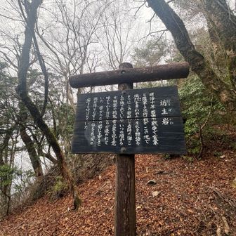 坊主岩に登る！