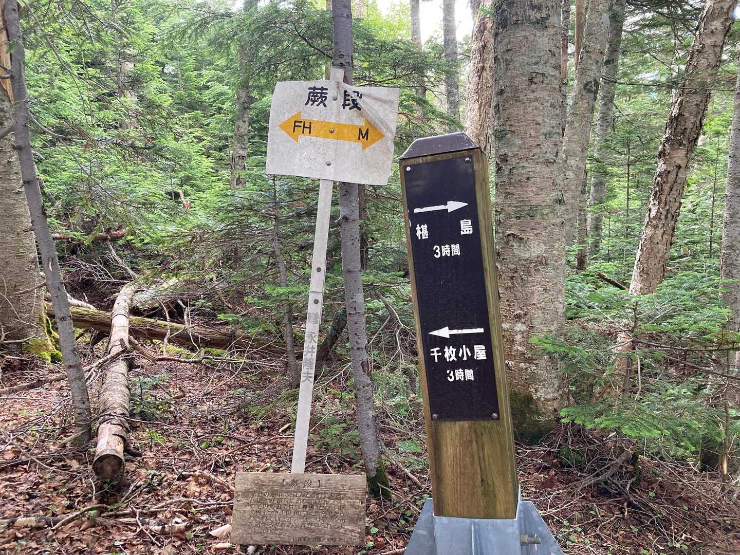 蕨段まで来ました。
ようやく半分かな…