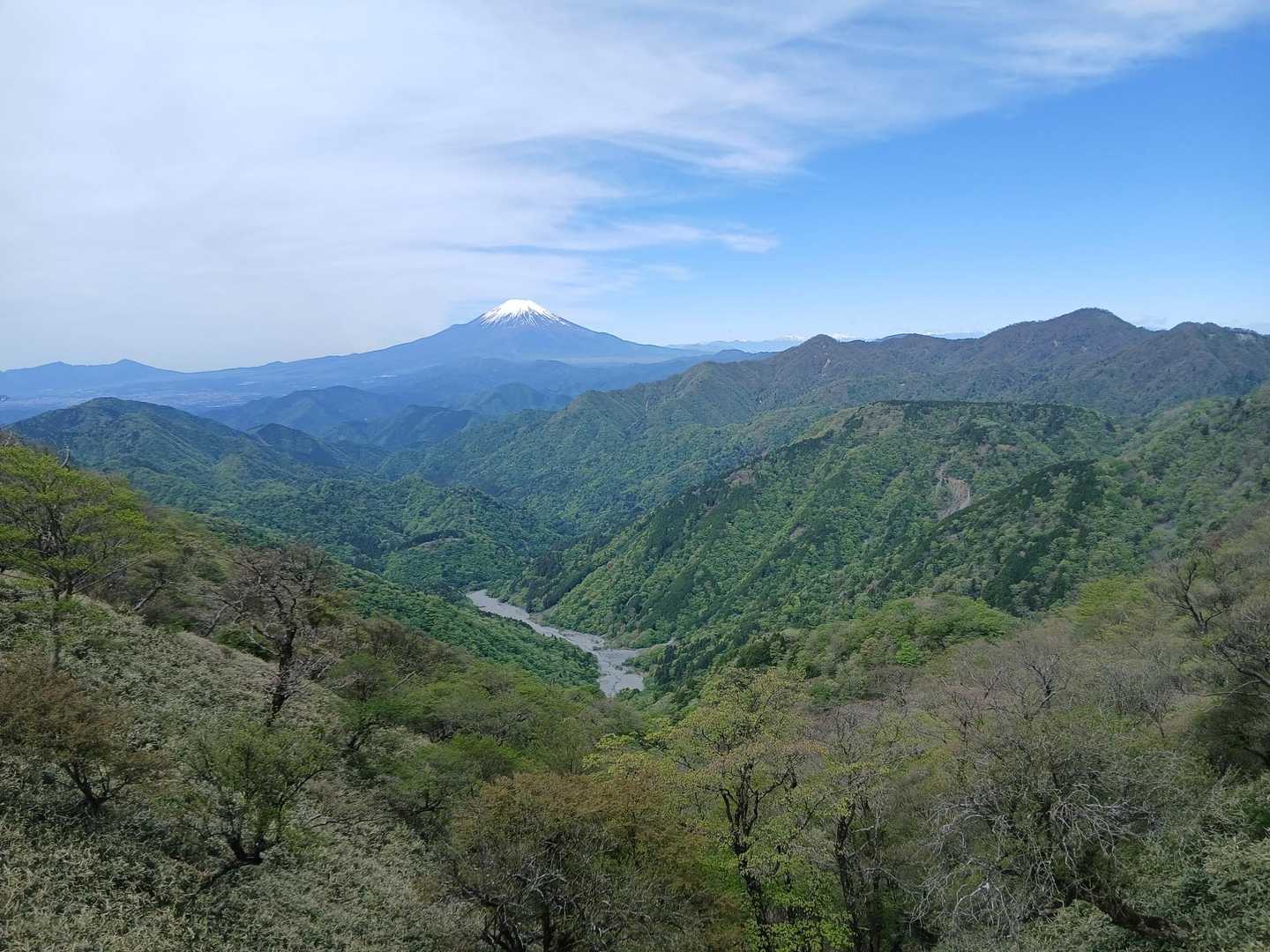 大倉バス停-観音茶屋-堀山-花立ノ頭-塔ノ岳-日高-竜ヶ馬 往復コースの写真