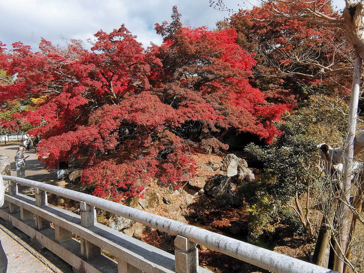 近鉄奈良駅-若草山麓バス停-若草山 往復コースの写真
