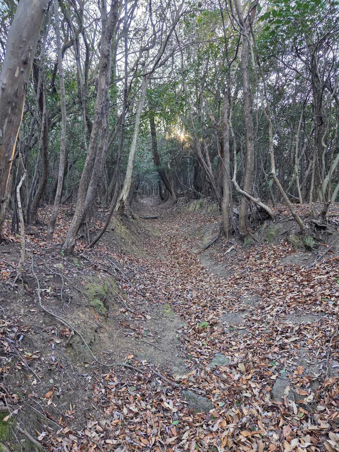 参道かな？
かなりの急斜面登ります。