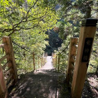 竜神橋（りゅうじんきょう）まで下りてきました
階段状の吊り橋です
さらに下ります