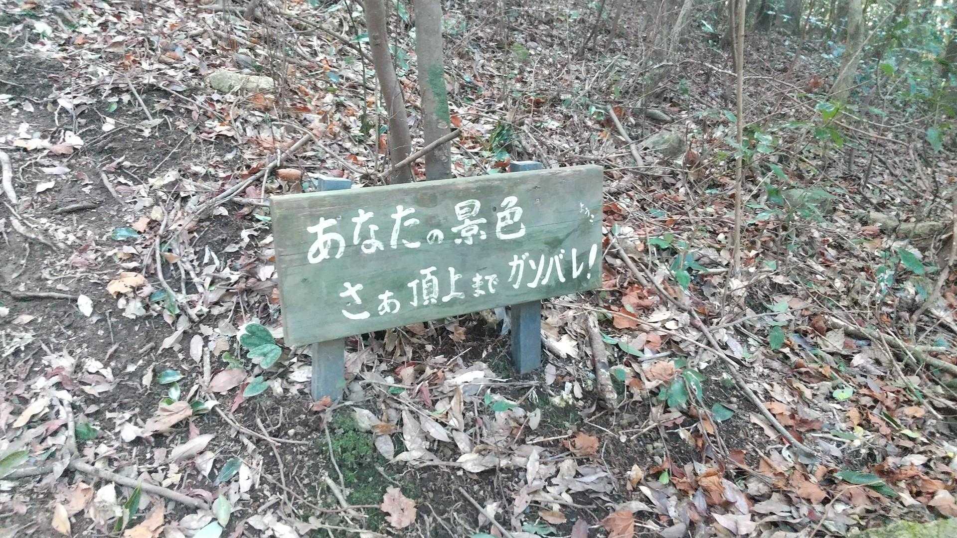 一位ヶ岳 往復コースの写真