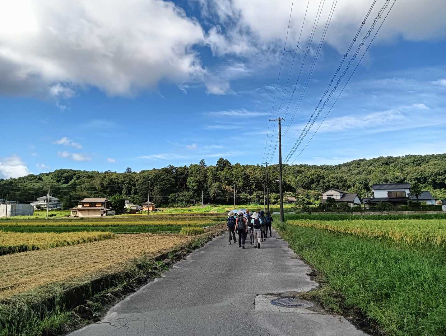 道場駅-百丈岩 周回コースの写真