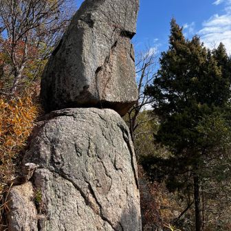 横に回り込む
見えた〜🤩