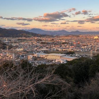 新鳥栖駅と市街地を見下ろす
