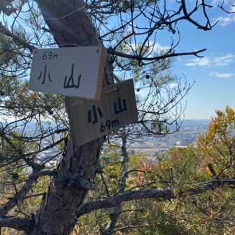 近くの高校の部活の声かけを背に登った