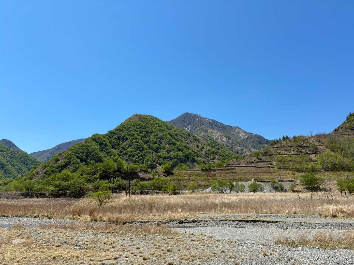 振り返りの中倉山。