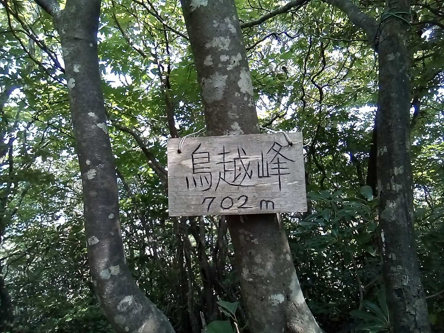 鳥越峰山頂。
今日の最高峰。
