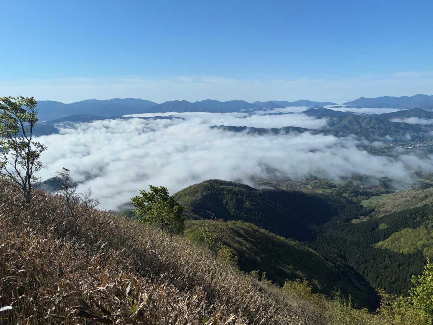 蒜山三座 縦走コースの写真