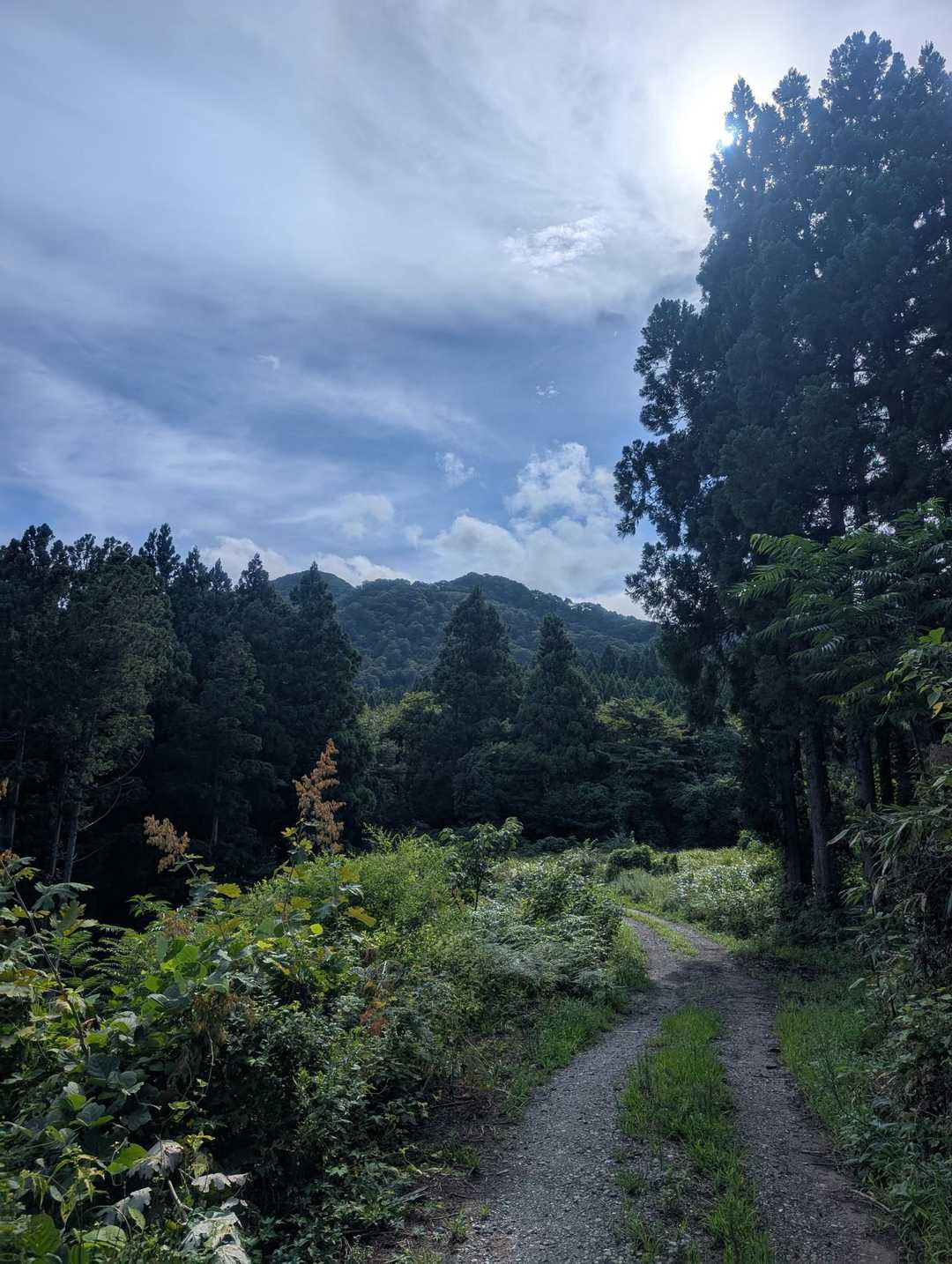 下山したよ💁‍♀