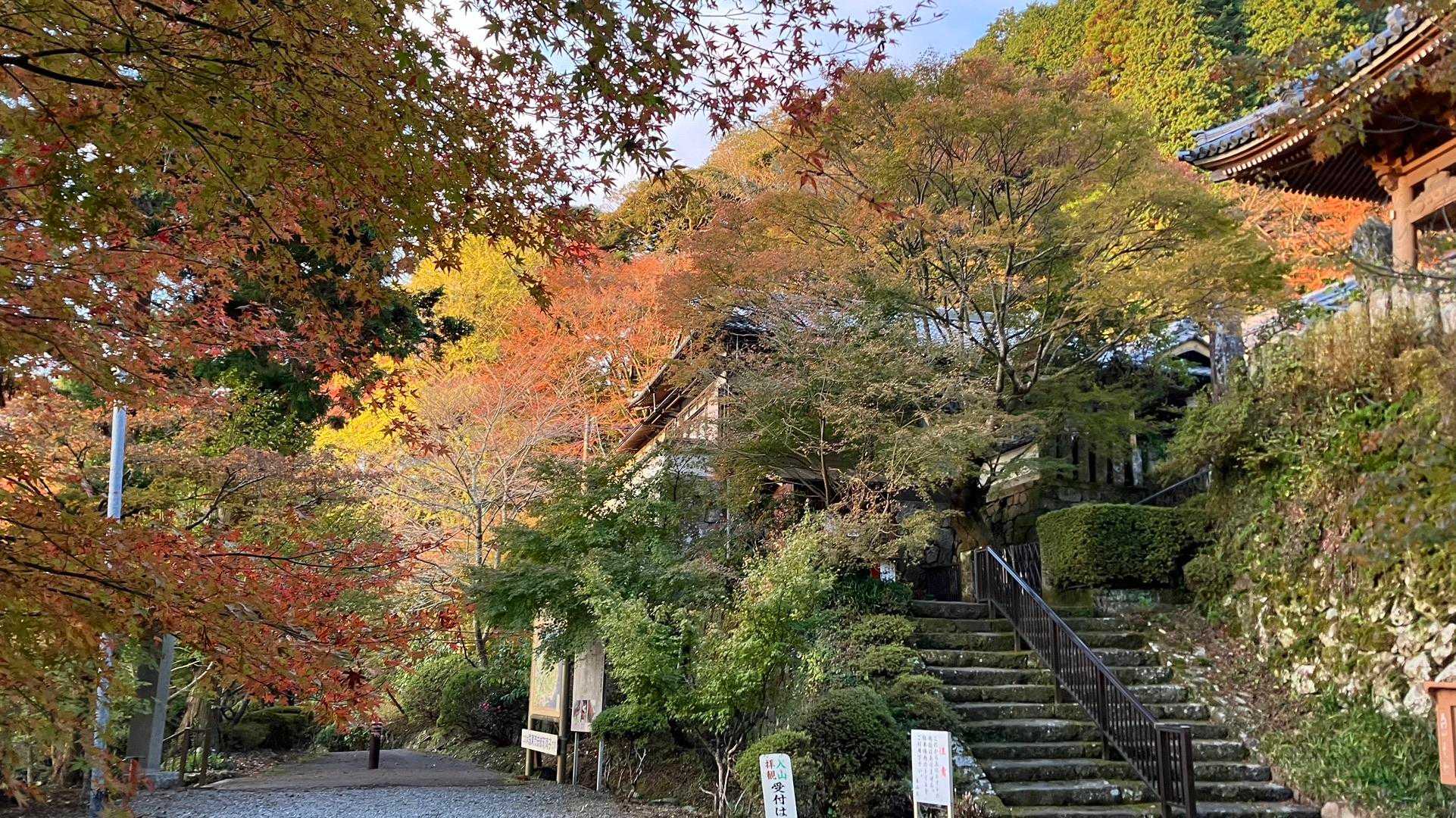 六郷満山総持院
両子寺
拝観料は後ではらいましたよ