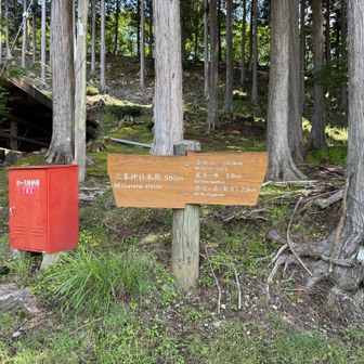 ここから雲取山に登る人もいるんだなあ😲
