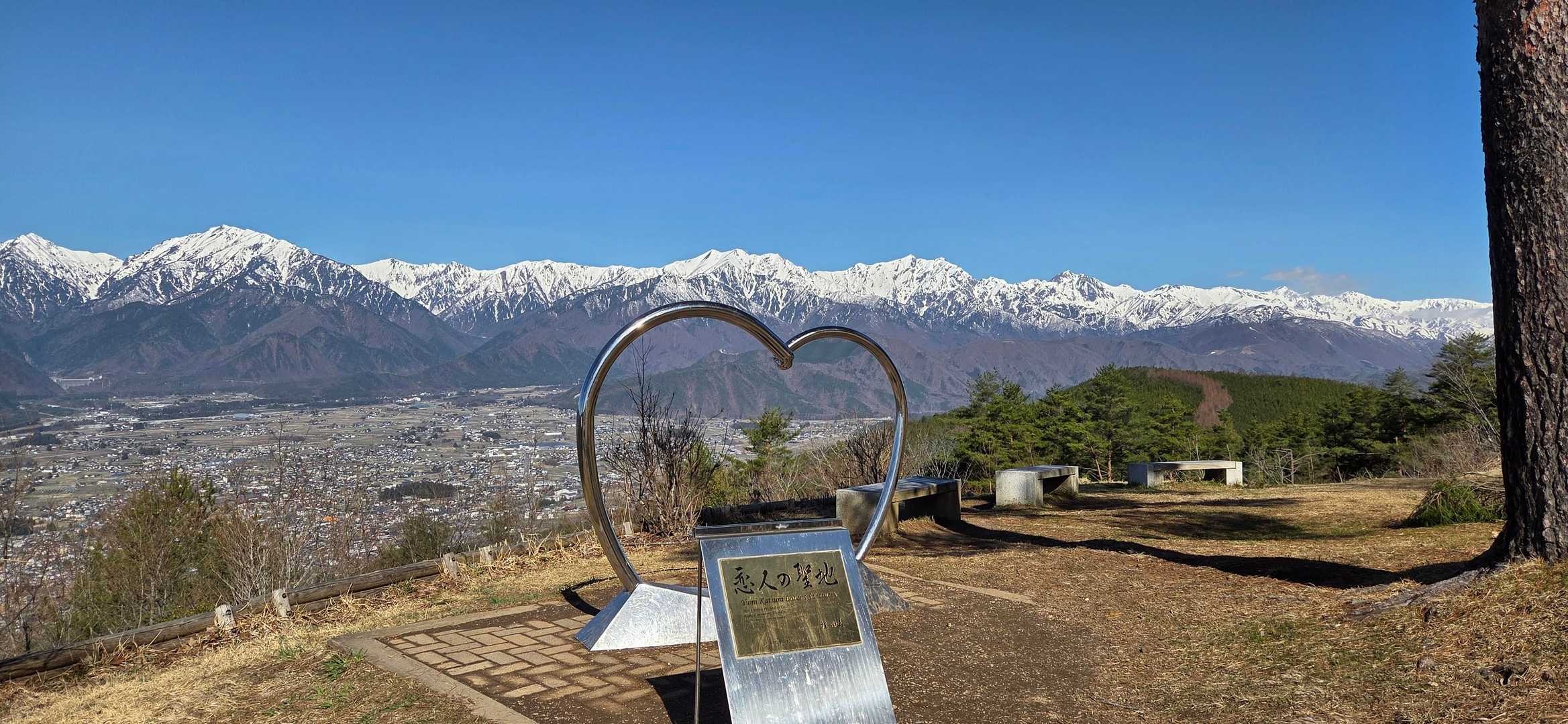 今日はバッチリ