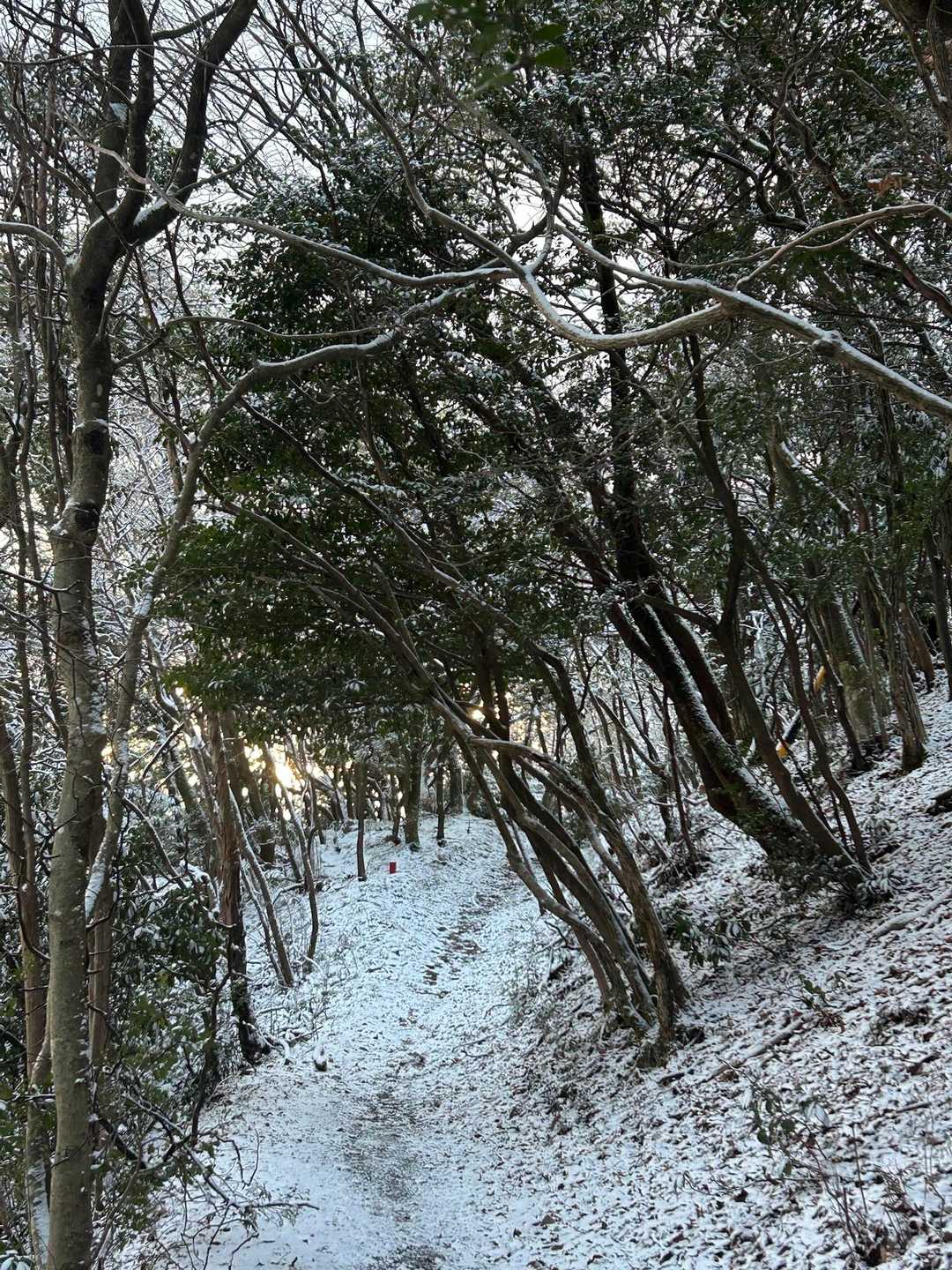 雪も少なくなってきたかな
