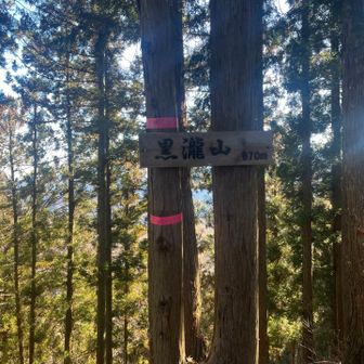 黒瀧山までは時計回りで向かいます
🐢…ᰅ‹ᰅ‹ᰅ‹..................🐖…ᰅ‹ᰅ‹

うっすら雪ありますが､傾斜はそこまでなくお山歩( *´﹀`* )

  黒瀧山
標高 870m
 ／^o^＼

眺望はありません( ˊᵕˋ ;)